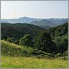 Juin 15 · La forêt du Mourle - Montaut · © stockli