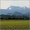 Mai 03 · Le Pic du Midi vu da la Plaine de Nay - Mirepeix · © stockli