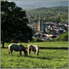 Mai 28 · Pastorale Nayaise  · © stockli