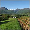 Photographies du Béarn au mois de mai