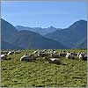 Novembre 19 · Pastorale - Asson · © stockli