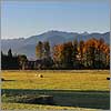 Octobre 14 · L'automne sur la Plaine de Nay - Bordes · © stockli