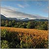 Photographies du Béarn au mois d'octobre